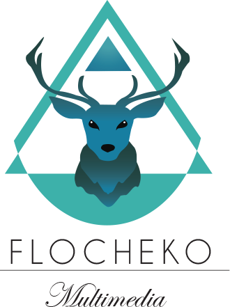 Flocheko (2014)